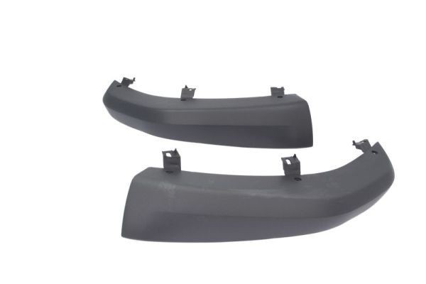 BLIC 6502-07-0511920Q Bumper moulding C2 1.4 HDi 69 PS Diesel 2017