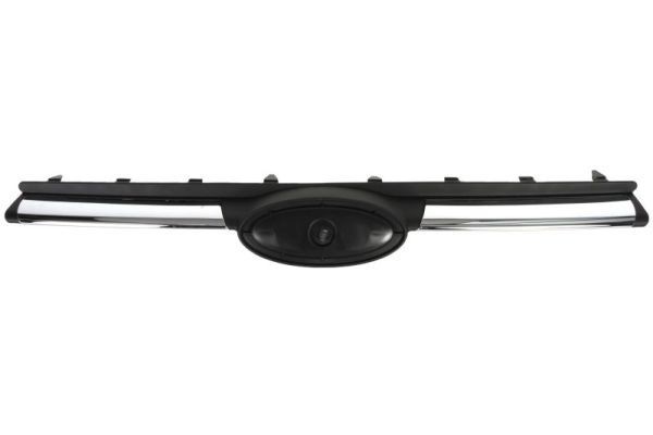 BLIC Radiator Grille Article number: 6502-07-2508991P cheaply