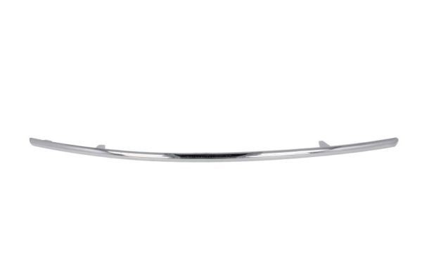 BLIC Bumper moulding Article number: 6502-07-3529929P cheaply