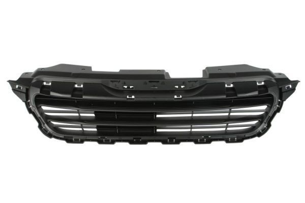 BLIC Radiator Grille Article number: 6502-07-5504990P cheaply