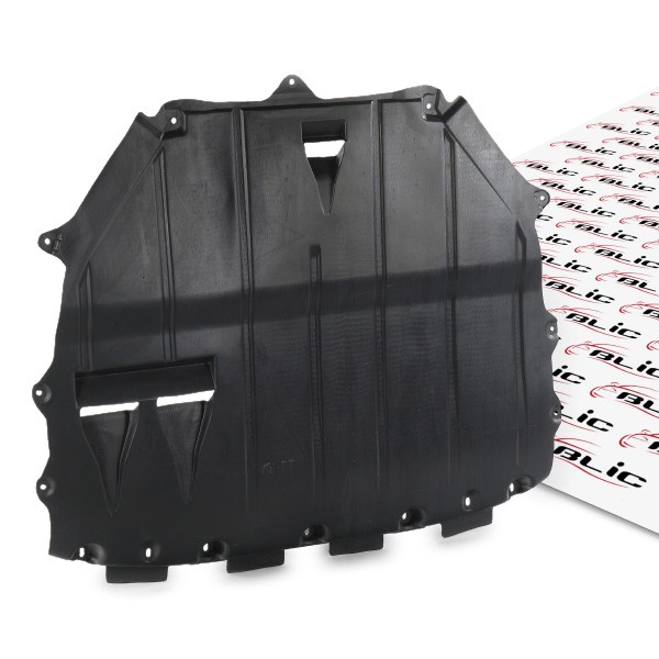 OEM Mootorikate 6601-02-0021860P pärit BLIC