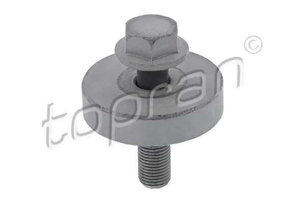 TOPRAN 701 616 Pulley Bolt SCÉNIC 2.0 (JM0S, JM2N) 138 PS Petrol 2010