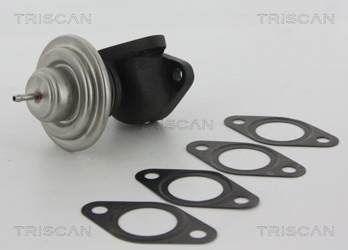 TRISCAN EGR valve Article number: 8813 23013 cheaply
