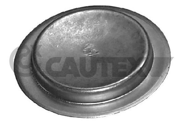 CAUTEX 950068 Cap, carburettor YPSILON 1.4 16V (843.AXC11, 843.AXC1B, 843.AXC1A) 95 PS Petrol 2011