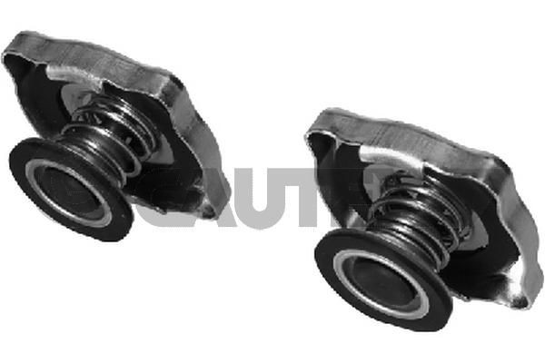CAUTEX Expansion tank cap Article number: 954076 cheaply