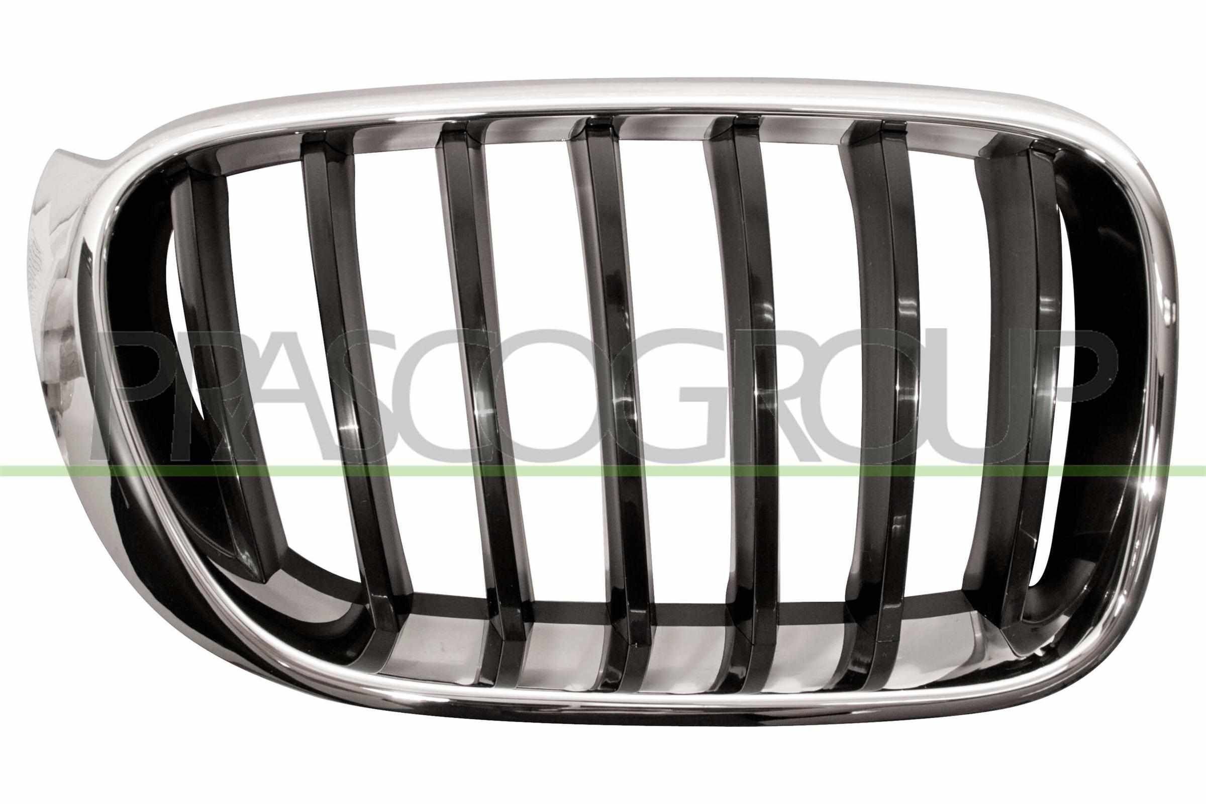 PRASCO Radiator Grille Article number: BM8062003 cheaply