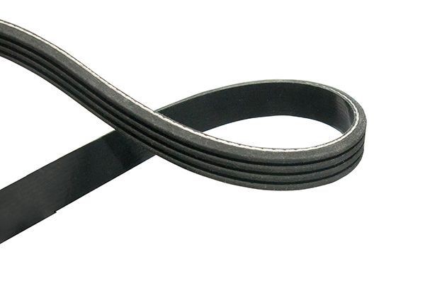 KAVO PARTS Serpentine belt Article number: DMV-1530 cheaply