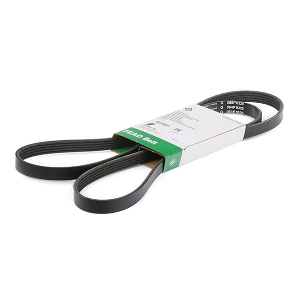 INA Serpentine belt Article number: FB 5PK1750 cheaply