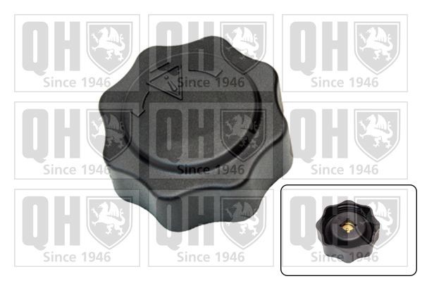 QUINTON HAZELL Expansion tank cap Article number: FC536 cheaply