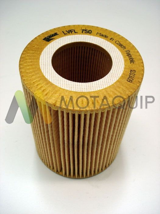 MOTAQUIP Oil filter Article number: LVFL750 cheaply