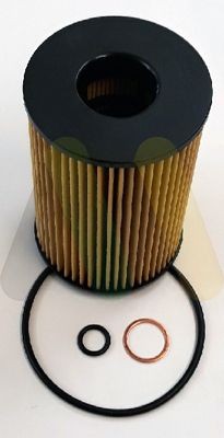 MOTAQUIP Oil filter Article number: LVFL805 cheaply