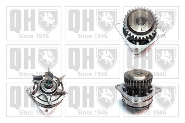QUINTON HAZELL Veepump Artikli number: QCP3689 soodsalt