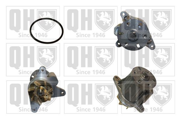 QUINTON HAZELL Veepump Artikli number: QCP3786 soodsalt