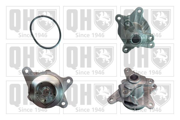 QUINTON HAZELL Water pump Article number: QCP3829 cheaply