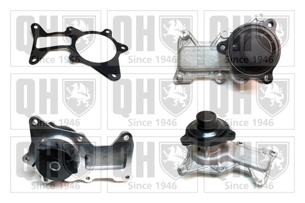 QUINTON HAZELL Water pump Article number: QCP3886 cheaply