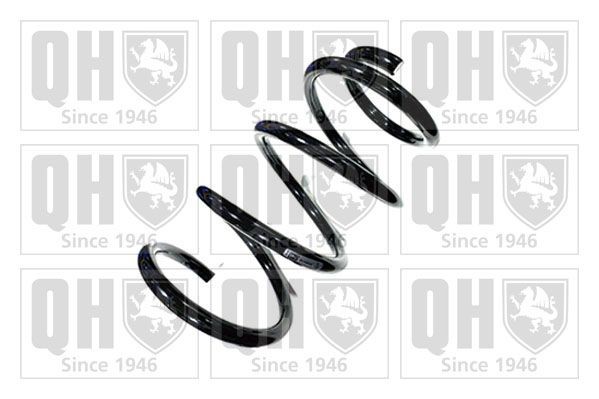 QUINTON HAZELL Coil spring Article number: QCS8025 cheaply