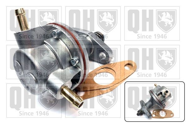 QUINTON HAZELL Fuel pump Article number: QFP517 cheaply
