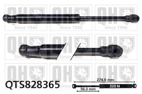 QUINTON HAZELL Bagklapsdæmper Varenummer: QTS828365 billige