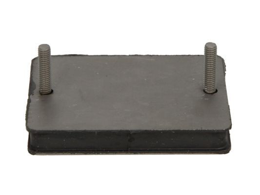 S-TR Wear Plate, leaf spring Article number: STR-120890 cheaply