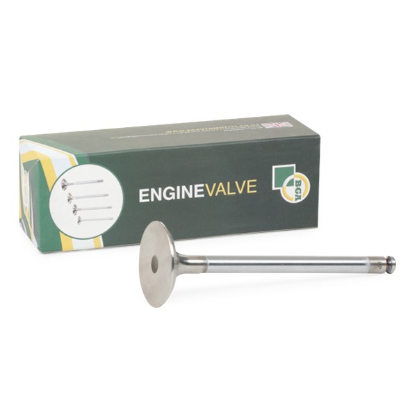 BGA Inlet valve Article number: V017065 cheaply
