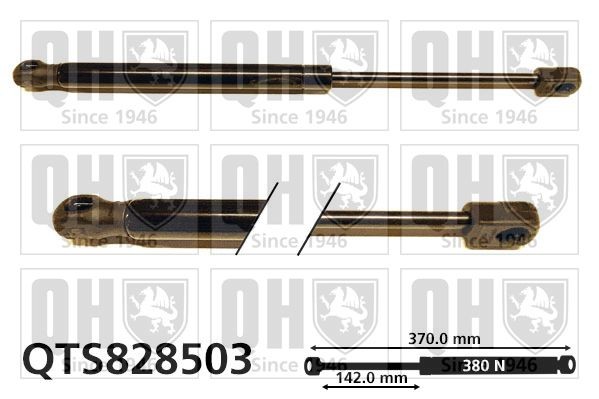 QUINTON HAZELL Bonnet strut Article number: QTS828503 cheaply