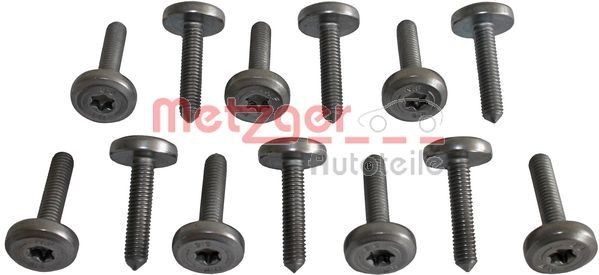 METZGER Screw, automatic transmission oil tray Article number: 8029025 cheaply