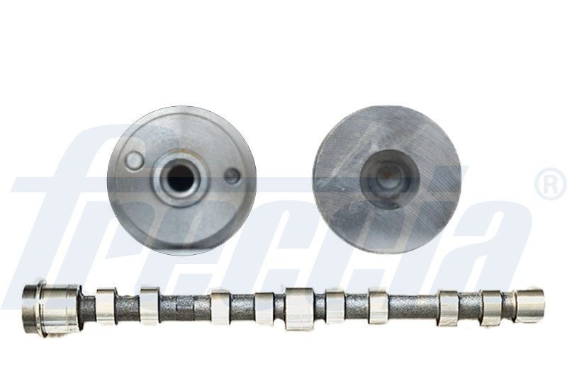 FRECCIA Camshaft Article number: CM05-2273 cheaply