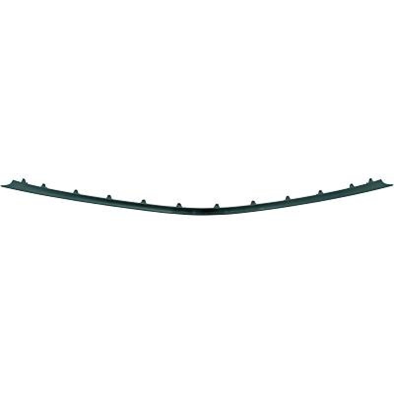DIEDERICHS 1615161 Trim / Protective Strip, radiator grille E-Class E 220 CDI 2.2 (211.206) 150 PS Diesel 2009
