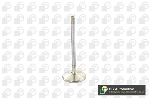 BGA Exhaust valve Article number: V560202 cheaply