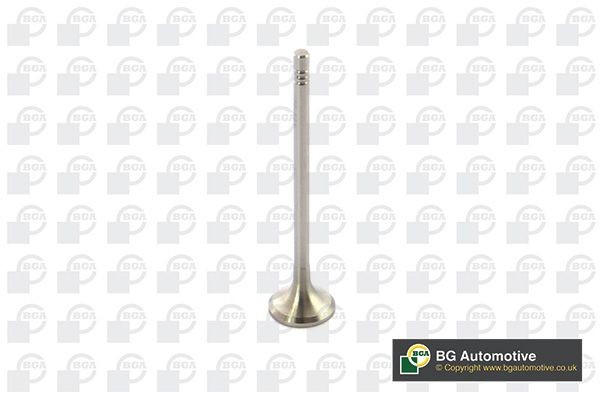 BGA Exhaust valve Article number: V591501 cheaply