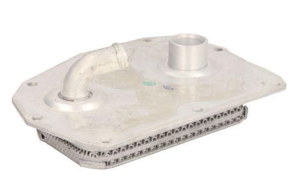 THERMOTEC Engine oil cooler Article number: D4M005TT cheaply