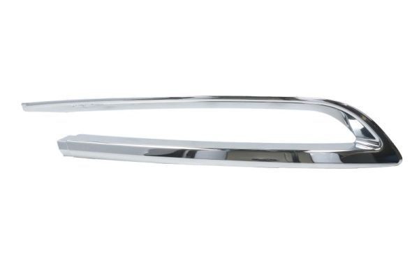 BLIC 5513-00-0067973PF Bumper moulding 5 Series M5 30th Anniversary 600 PS Petrol 2016