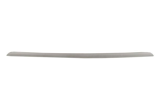 BLIC 5513-00-0096970P Bumper moulding X5 xDrive 30 d 286 PS Diesel 2018