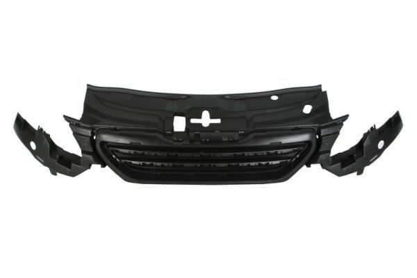 BLIC Radiator Grille Article number: 6502-07-5516990P cheaply
