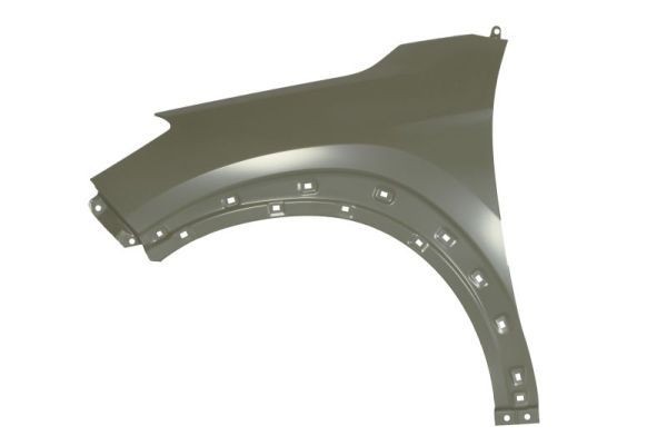 BLIC Wing fender Article number: 6504-04-3177311P cheaply