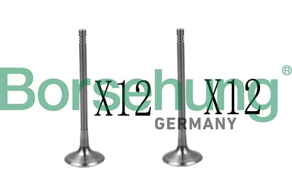Borsehung B18639 Klapp A6 2.8 FSI quattro 220 HP Bensiin 2011