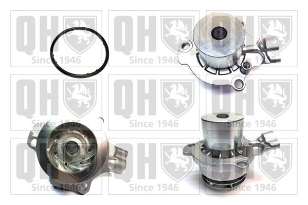 QUINTON HAZELL Water pump Article number: QCP3876DP cheaply