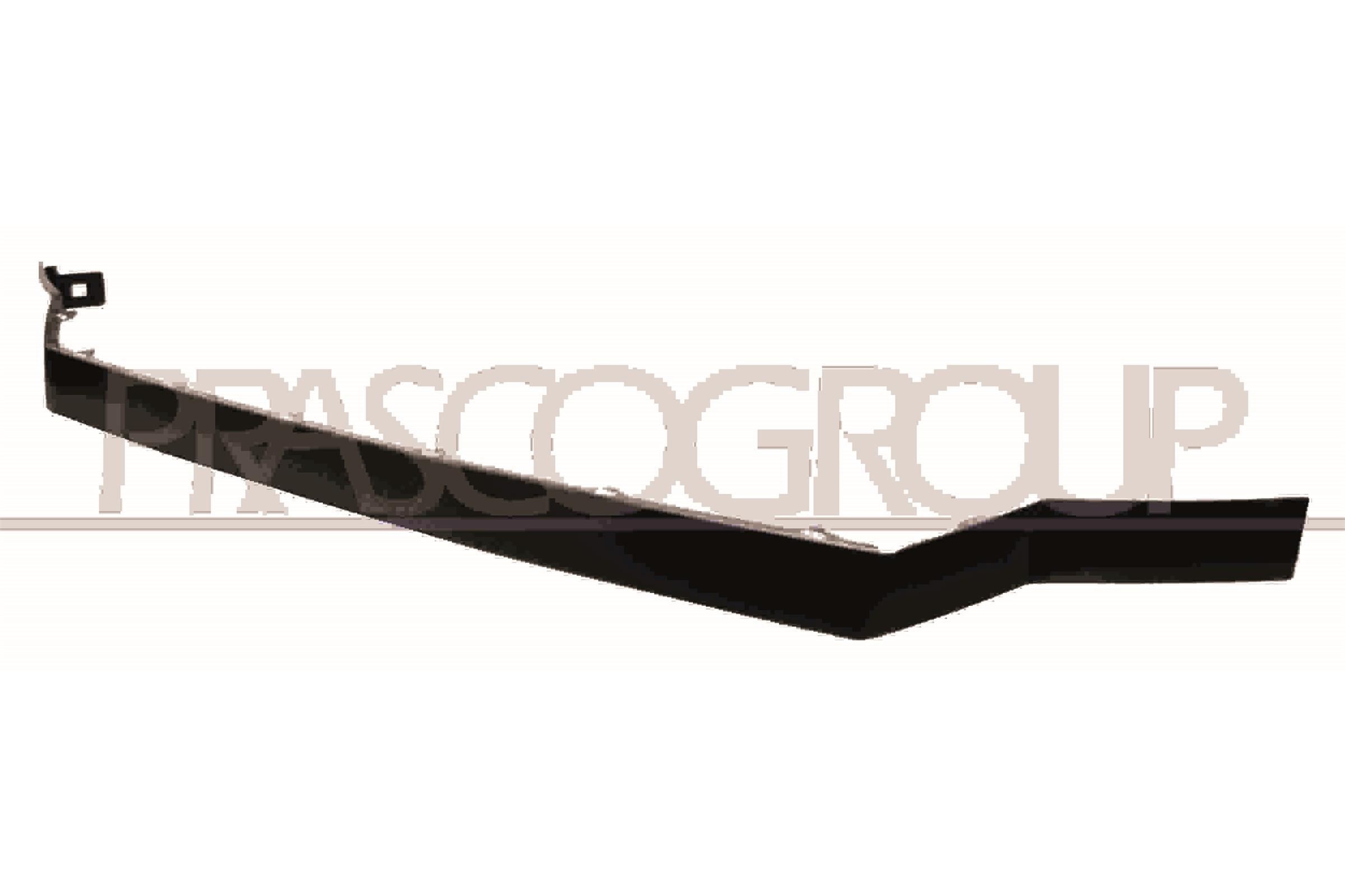 PRASCO VG9542305 Ehis- / kaitseliist, Grill CRAFTER 2.0 TDI 163 HP Diisel 2016
