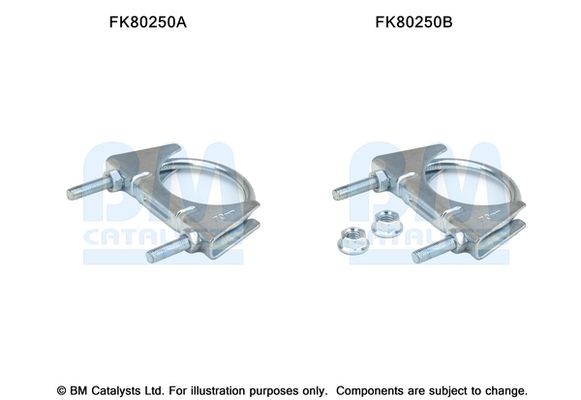 BM CATALYSTS Mounting Kit, catalytic converter Article number: FK80250 cheaply