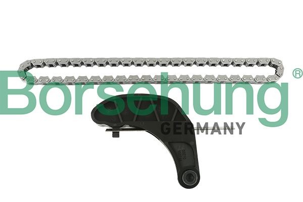 Borsehung B18851 Chain Set, oil pump drive FABIA 1.2 12V 60 PS Petrol 2014