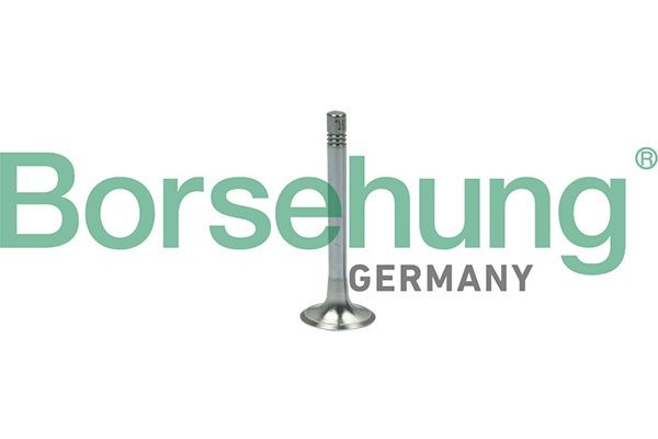 Borsehung Exhaust valve Article number: B18999 cheaply