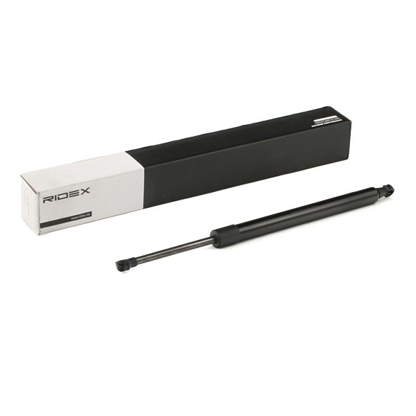 RIDEX Gāzes atspere, Bagāžas / Kravas nodalījuma vāks raksta numurs: 219G0889 lēti