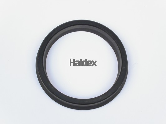 HALDEX Skive Varenummer: 024026909 billige