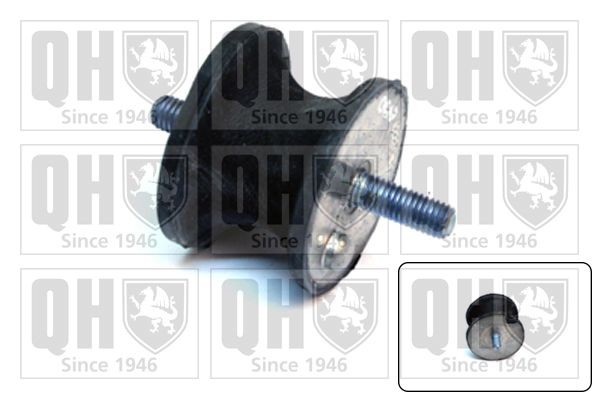 QUINTON HAZELL Mounting, automatic transmission Article number: EM4342 cheaply