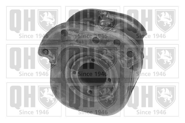 QUINTON HAZELL Trailing arm / Suspension arm bush Article number: EMS8023 cheaply