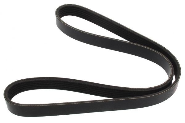 MAPCO Serpentine belt Article number: 261029E cheaply