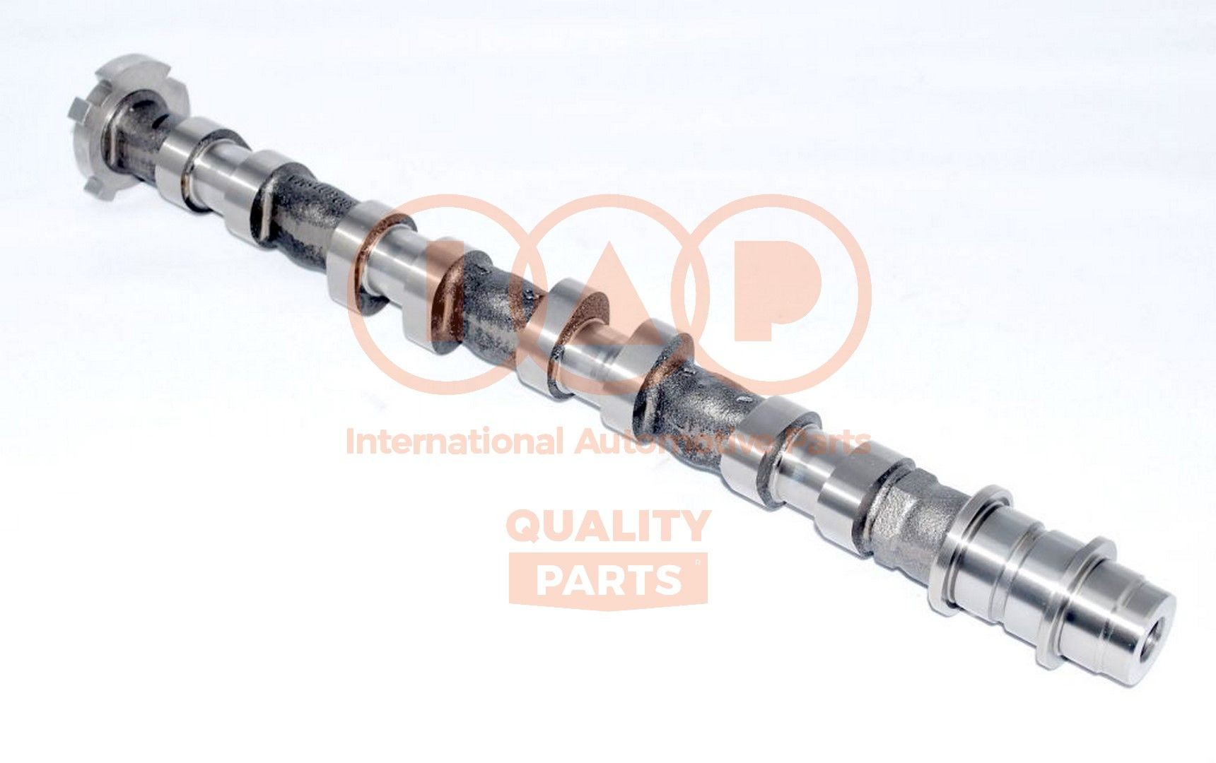 IAP QUALITY PARTS Nukkvõll Artikli number: 124-25010 soodsalt