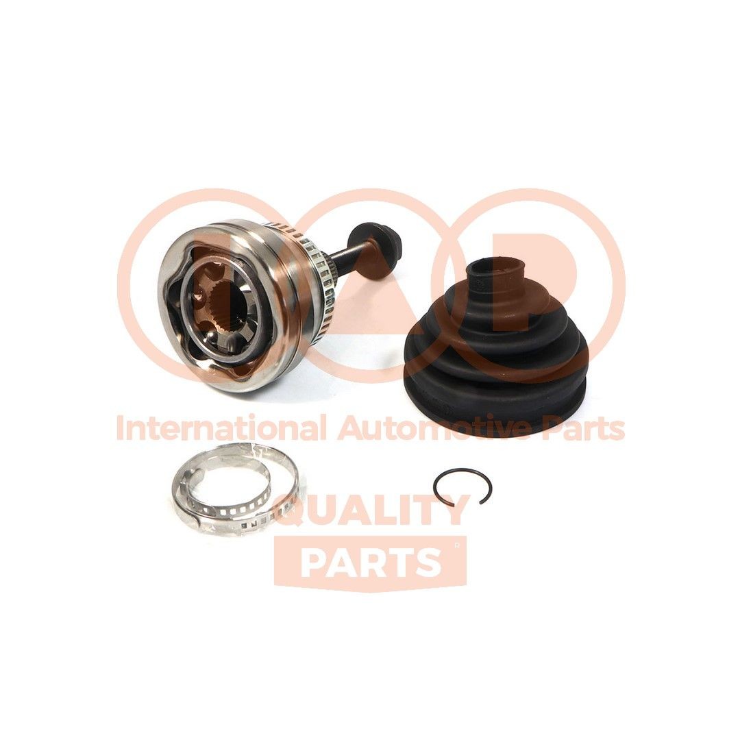 IAP QUALITY PARTS Survelaager Artikli number: 204-13160 soodsalt