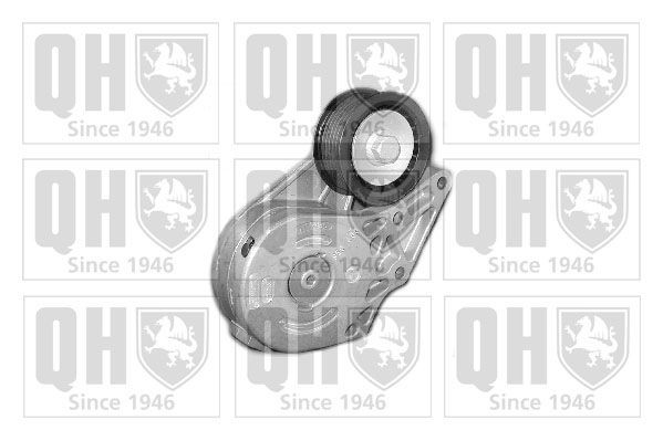 QUINTON HAZELL Tensioner Lever, v-ribbed belt Article number: QTA1182 cheaply