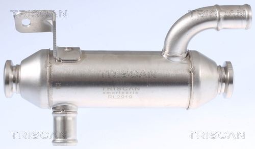 TRISCAN 8813 28101 EGR-jahuti C5 2.0 HDi 90 HP Diisel 2008